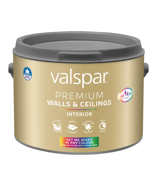 Wall and ceiling paint